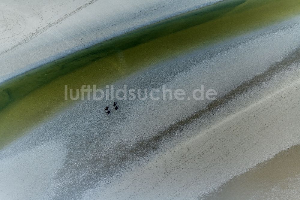 Sankt Peter-Ording aus der Vogelperspektive: Sandstrand- Landschaft mit trabenden Pferden in Sankt Peter-Ording im Bundesland Schleswig-Holstein, Deutschland