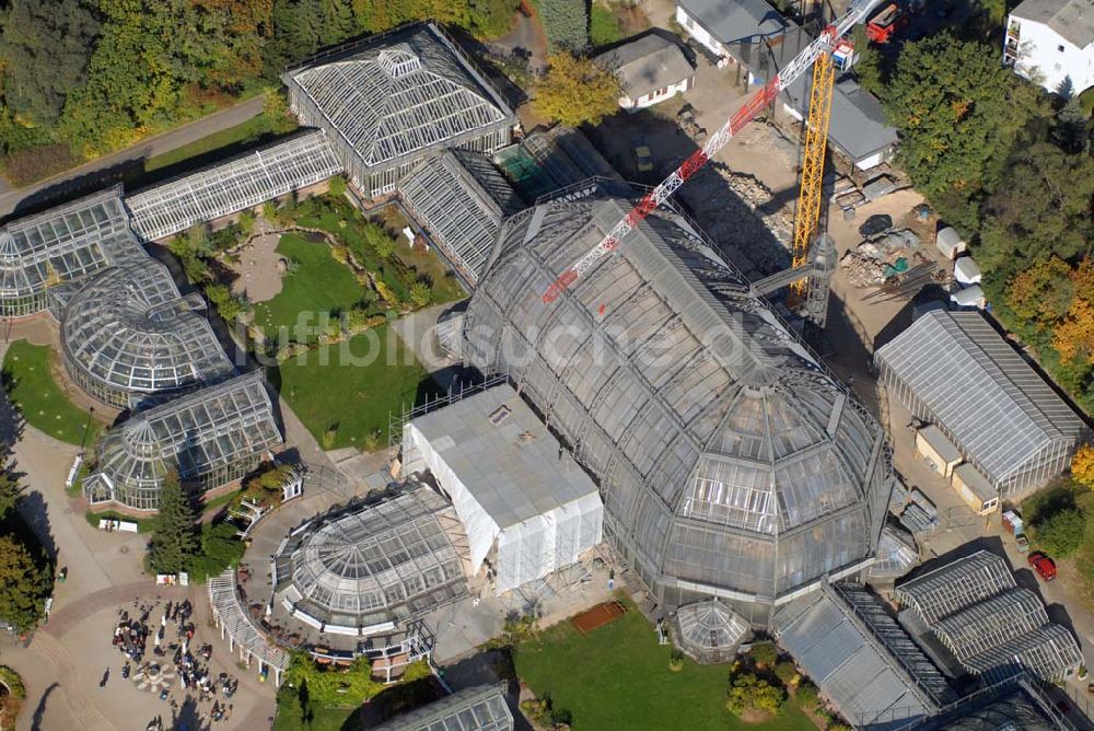 Luftaufnahme Berlin-Dahlem - Sanierung des Botanischen Gartens Berlin