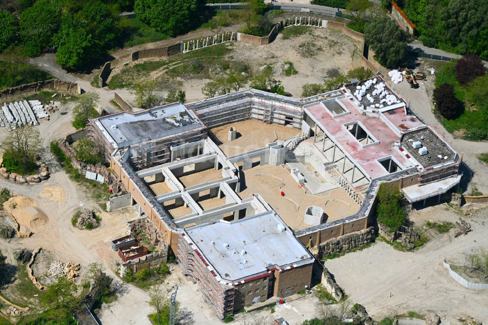 Luftbild Berlin - Sanierung Gebäudekomplex Dickhäuterhaus im Tierpark in Berlin, Deutschland