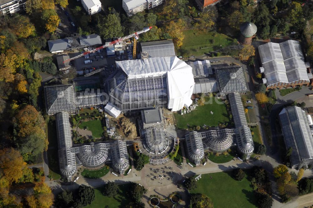 Berlin von oben - Sanierungsarbeiten des Botanischen Garten Berlin-Dahlem