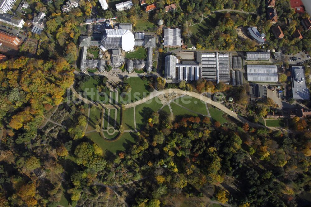 Luftaufnahme Berlin - Sanierungsarbeiten des Botanischen Garten Berlin-Dahlem