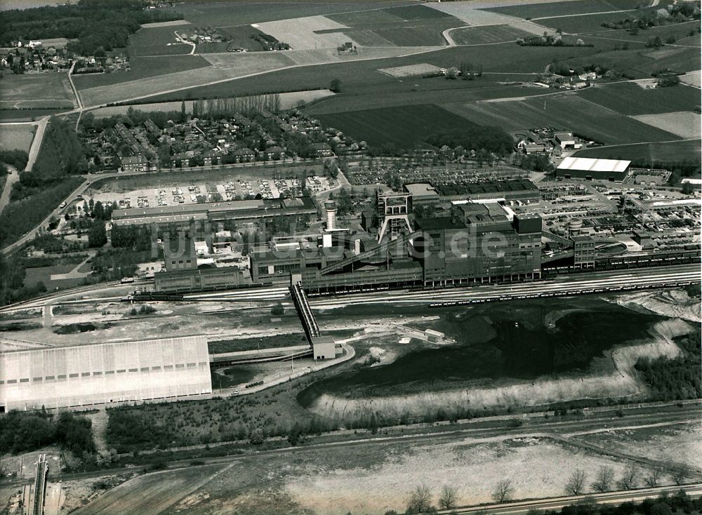 Moers von oben - Schachtanlage Pattberg in Moers im Bundesland Nordrhein-Westfalen, Deutschland