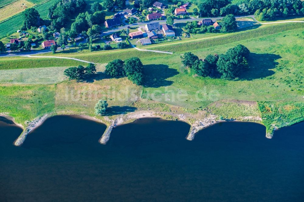 Hittbergen aus der Vogelperspektive: Schafherde am Uferbereich des Elbe - Flußverlaufes in Hittbergen/Barförde im Bundesland Niedersachsen, Deutschland