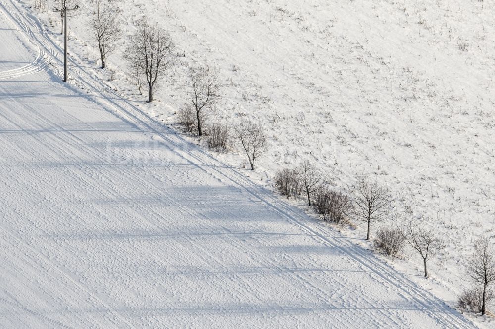 Buch von oben - Schatten einer Baumreihe auf schneebedeckten Feld bei Buch im Bundesland Bayern