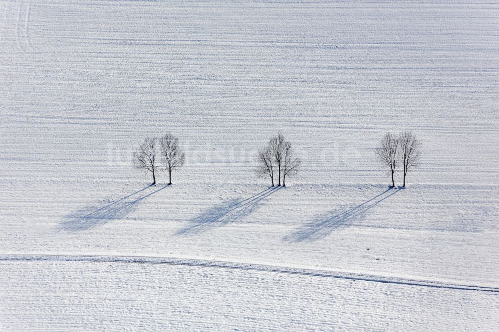 Luftbild Buch - Schatten einer Baumreihe auf schneebedeckten Feld bei Buch im Bundesland Bayern