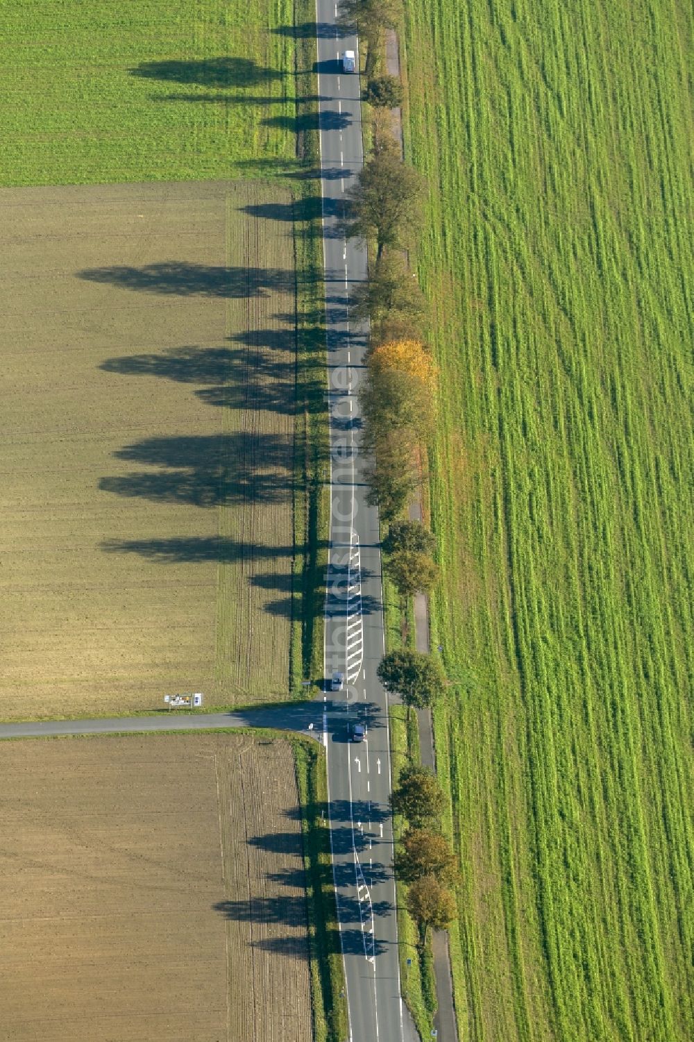 Luftbild Haltern am See - Schatten - Landschaft von Baumreihen an einer Landstraße / Allee in Haltern im Bundesland Nordrhein-Westfalen NRW