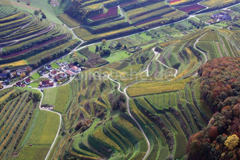 Endingen am Kaiserstuhl von oben - Schelingen am Kaiserstuhl im Bundesland Baden-Württemberg