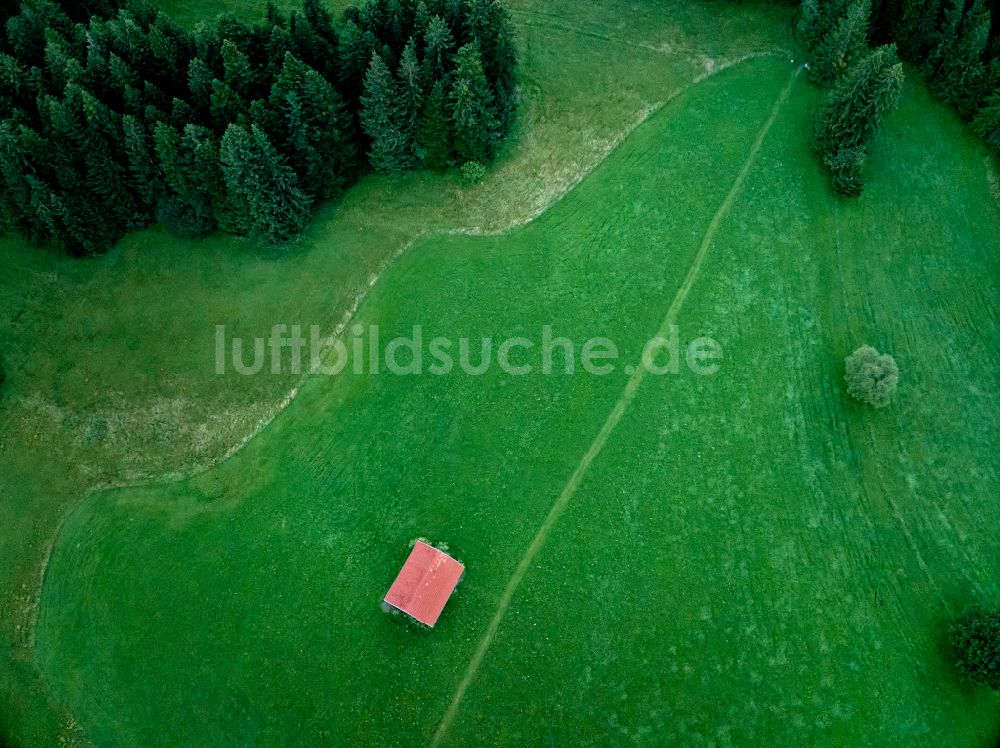 Luftaufnahme Sulzberg - Scheunen- Gebäude auf grüner Wiese in Sulzberg in Vorarlberg, Österreich