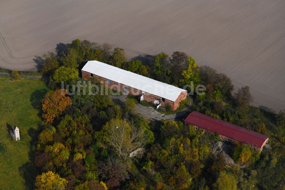 Luftbild Börnicke - Scheunen- Gebäude am Rande von Feldern in Börnicke im Bundesland Brandenburg, Deutschland