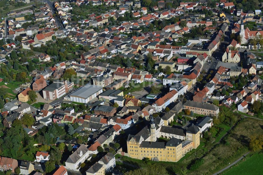 Coswig (Anhalt) von oben - Schloss in Coswig (Anhalt) im Bundesland Sachsen-Anhalt