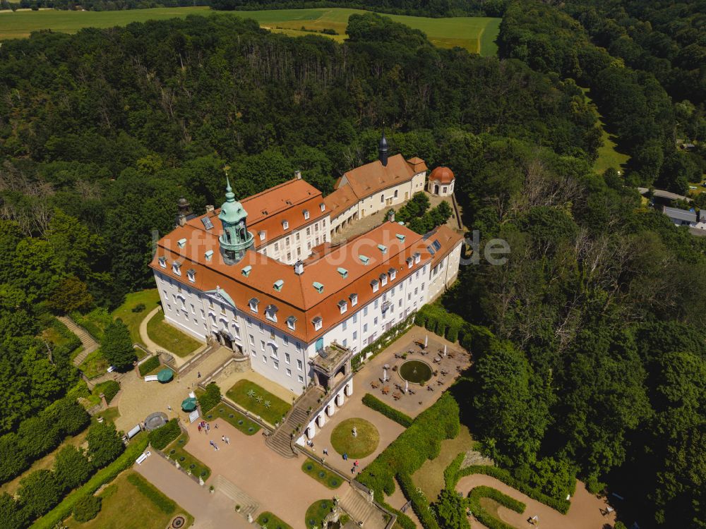 Lichtenwalde von oben - Schloss Schloss und Park Lichtenwalde in Lichtenwalde im Bundesland Sachsen, Deutschland