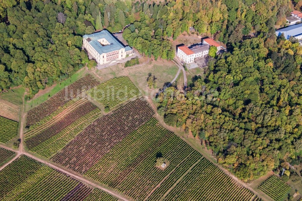 Luftbild Edenkoben - Schloss Villa Ludwigshöhe in Edenkoben im Bundesland Rheinland-Pfalz, Deutschland