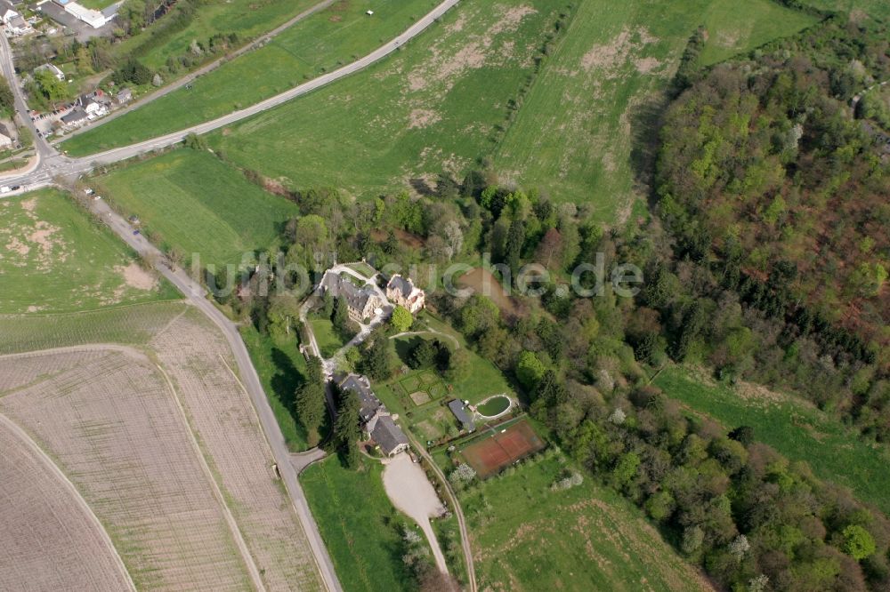 Mertesdorf aus der Vogelperspektive: Schlosskellerei in Mertesdorf im Bundesland Rheinland-Pfalz