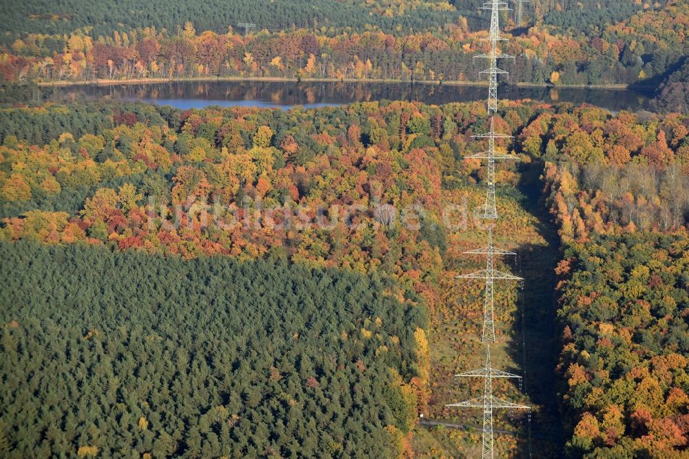 Luftaufnahme Altlandsberg - Schneisen- und Streckenverlauf der Stromführungstrasse in Altlandsberg im Bundesland Brandenburg