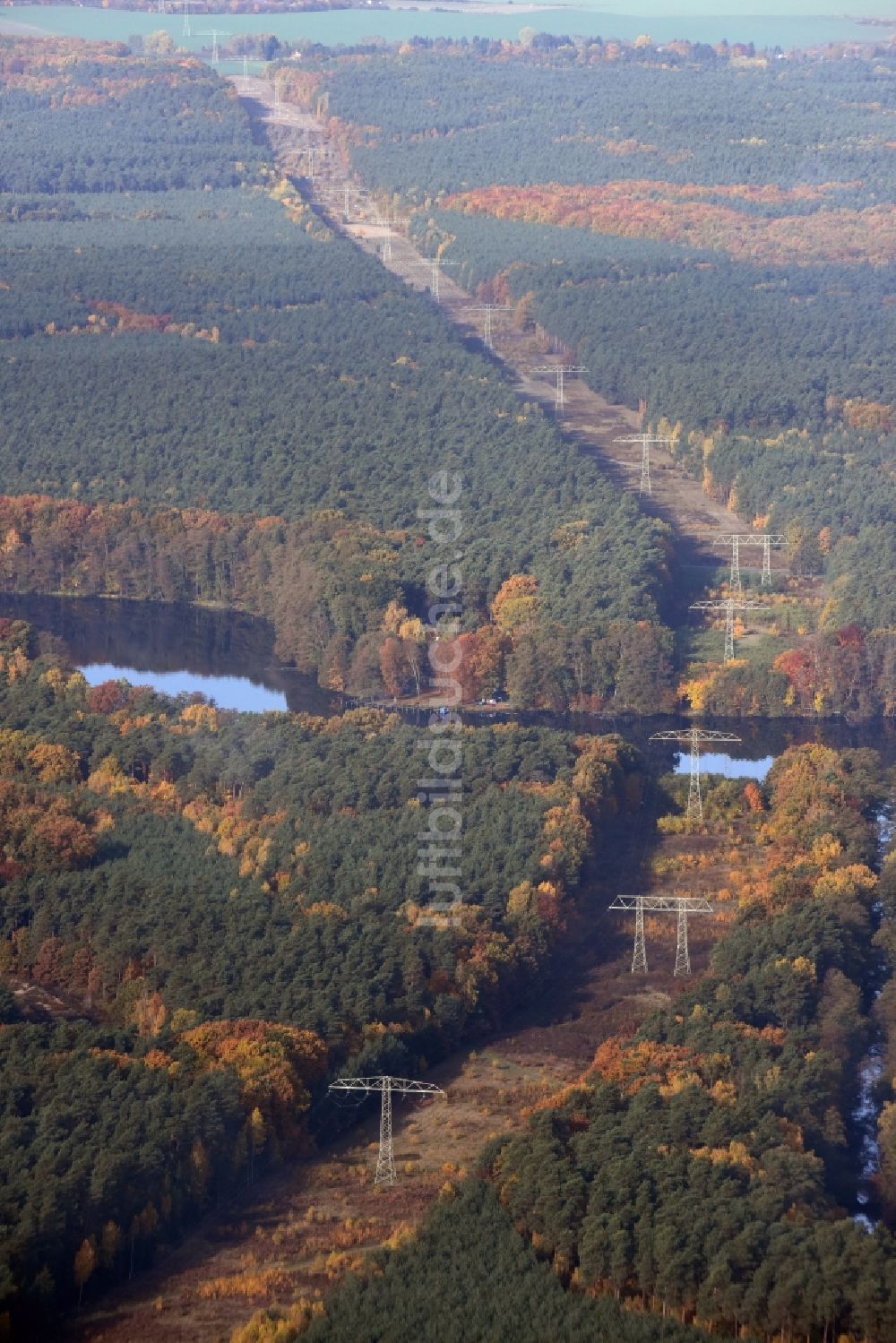 Luftbild Grünheide (Mark) - Schneisen- und Streckenverlauf der Stromführungstrasse in Grünheide (Mark) im Bundesland Brandenburg