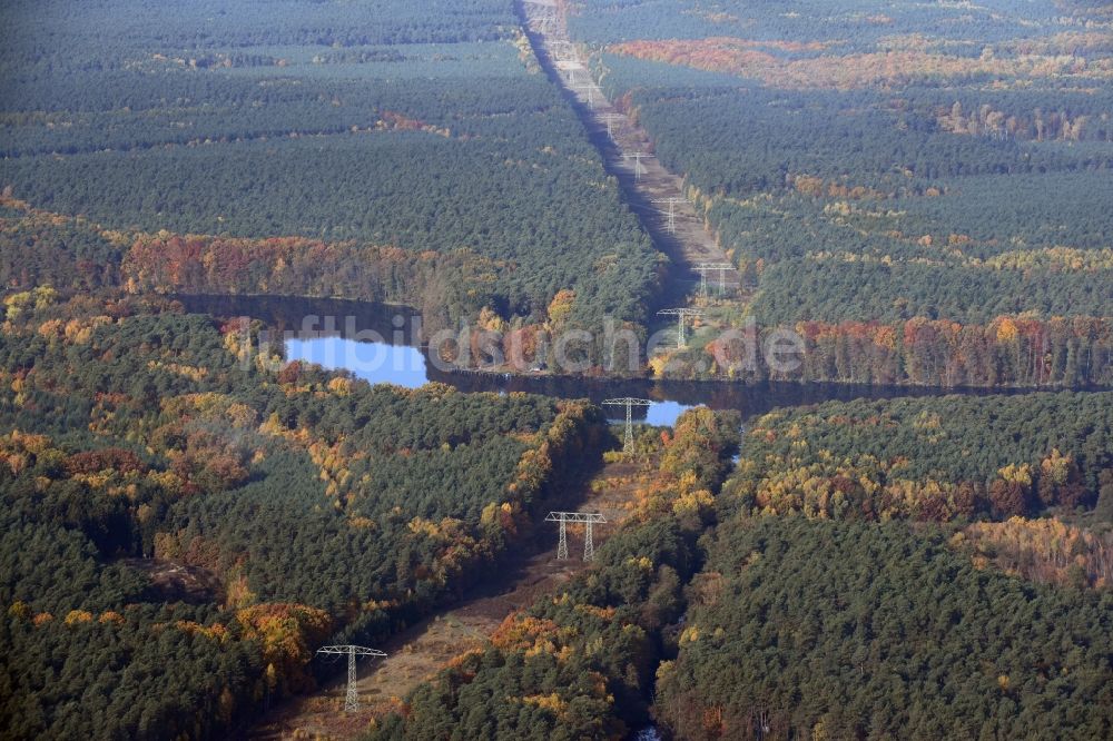 Luftaufnahme Grünheide (Mark) - Schneisen- und Streckenverlauf der Stromführungstrasse in Grünheide (Mark) im Bundesland Brandenburg