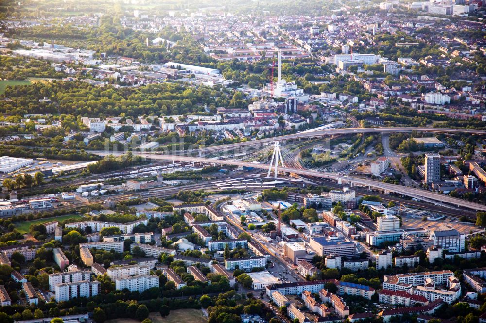 Ludwigshafen am Rhein von oben - Schrägseilbrücke entlang der Bundestraße B37 in Ludwigshafen am Rhein im Bundesland Rheinland-Pfalz, Deutschland