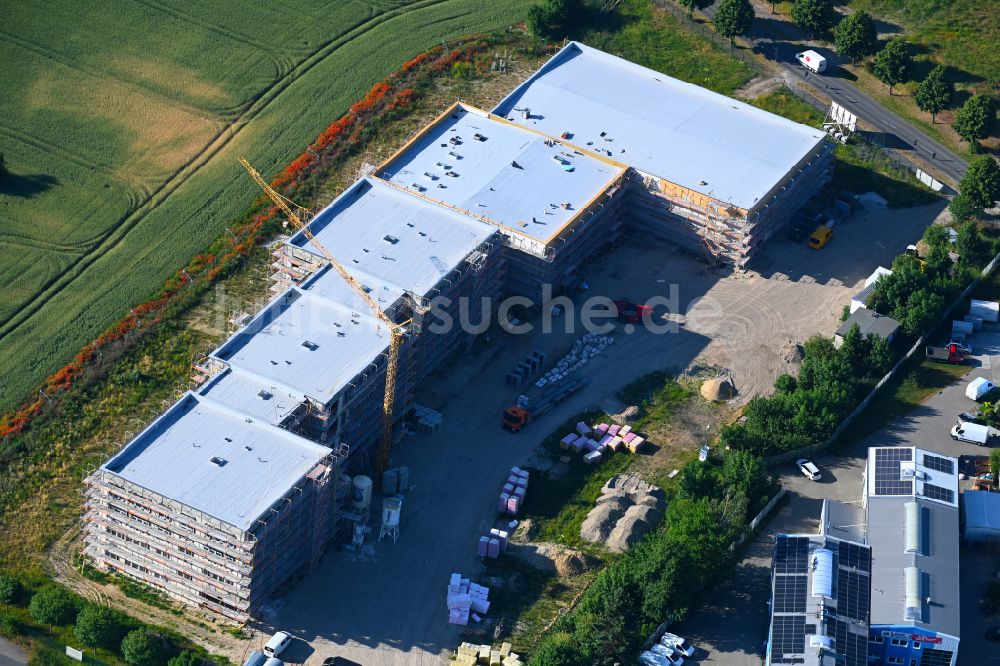 Luftaufnahme Lindenberg - Schulgebäude der Grundschule in Lindenberg im Bundesland Brandenburg, Deutschland