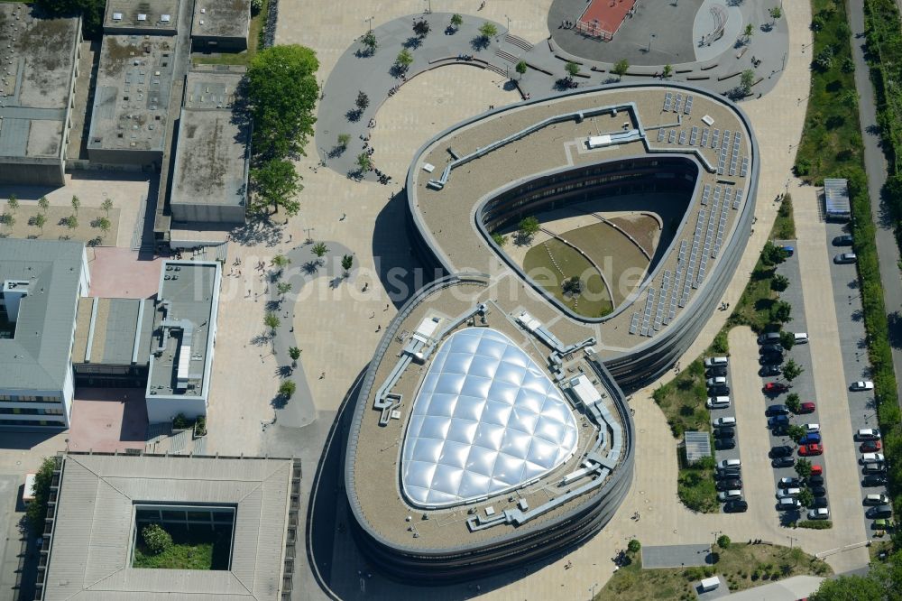 Bochum aus der Vogelperspektive: Schulgebäude Neues Gymnasium Bochum im Stadtteil Wiemelhausen in Bochum im Bundesland Nordrhein-Westfalen