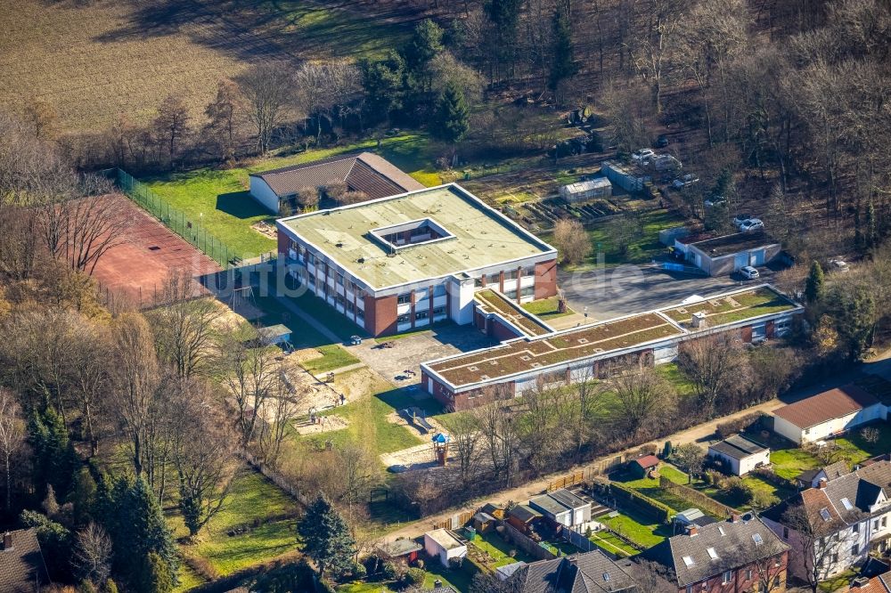 Luftbild Herne - Schulgebäude der Robert-Brauner-Schule in der Bergstraße in Herne im Bundesland Nordrhein-Westfalen, Deutschland