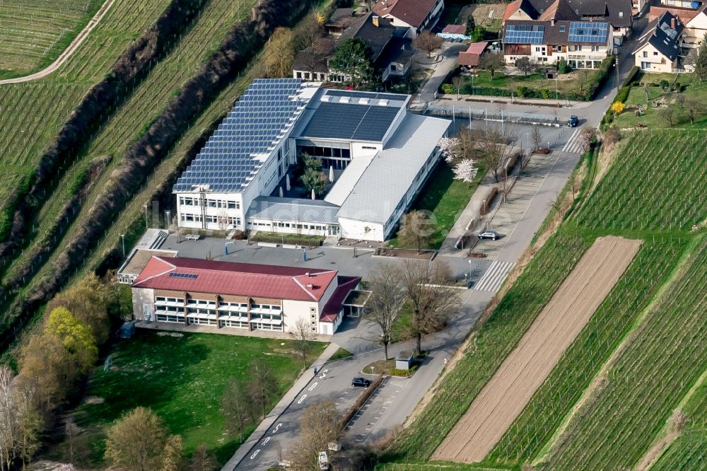 Vogtsburg im Kaiserstuhl aus der Vogelperspektive: Schulgebäude der Wilhelm Hildenbrand Schule in Vogtsburg im Kaiserstuhl im Bundesland Baden-Württemberg, Deutschland