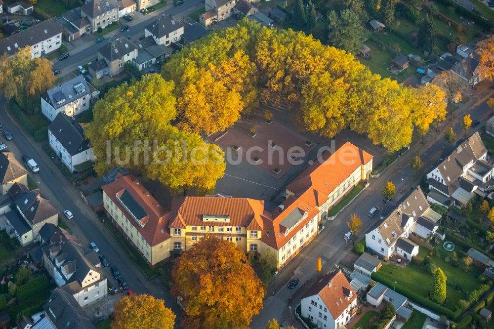 Luftbild Gladbeck - Schulgelände und Gebäudekomplex der Pestalozzi-Schule im herbstlichen Stadtteil Zweckel in Gladbeck im Bundesland Nordrhein-Westfalen