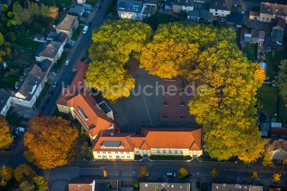 Gladbeck von oben - Schulgelände und Gebäudekomplex der Pestalozzi-Schule im herbstlichen Stadtteil Zweckel in Gladbeck im Bundesland Nordrhein-Westfalen