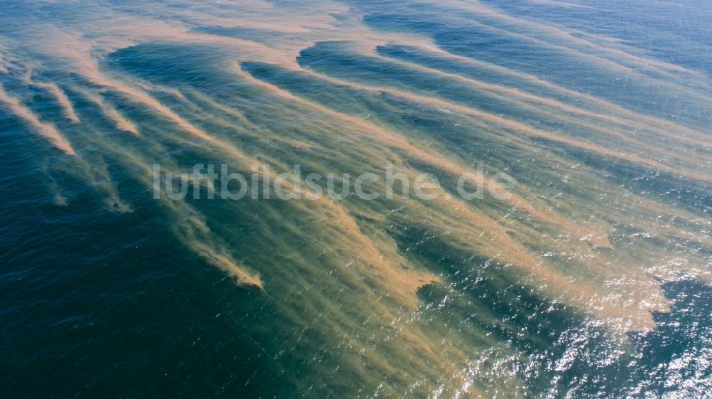 Luftbild Sassnitz - Schwebteppich mit Algenschichten auf der Wasseroberfläche der Ostsee in Sassnitz im Bundesland Mecklenburg-Vorpommern, Deutschland