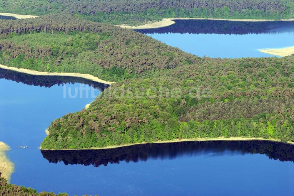 Luftaufnahme Carpin - Schweinegartensee