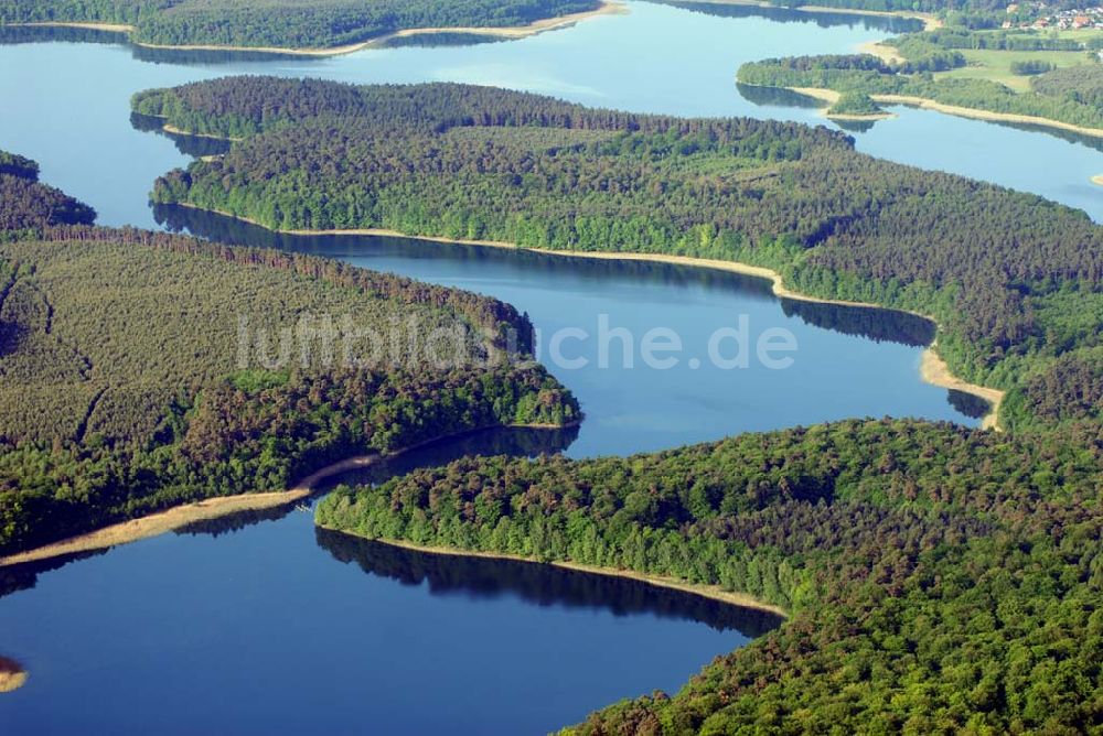 Carpin von oben - Schweinegartensee