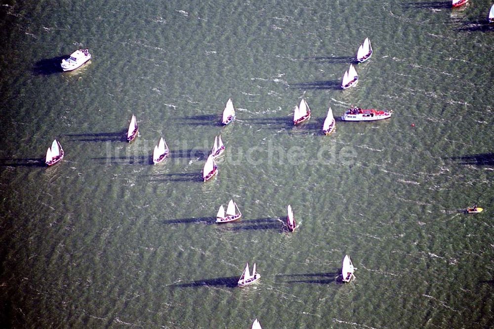 Schwerin / Mecklenburg Vorpommern von oben - Schwerin / Mecklenburg Vorpommern Blick auf eine Segel-Regatta auf dem Schweriner See in Schwerin / Mecklenburg Vorpommern 06