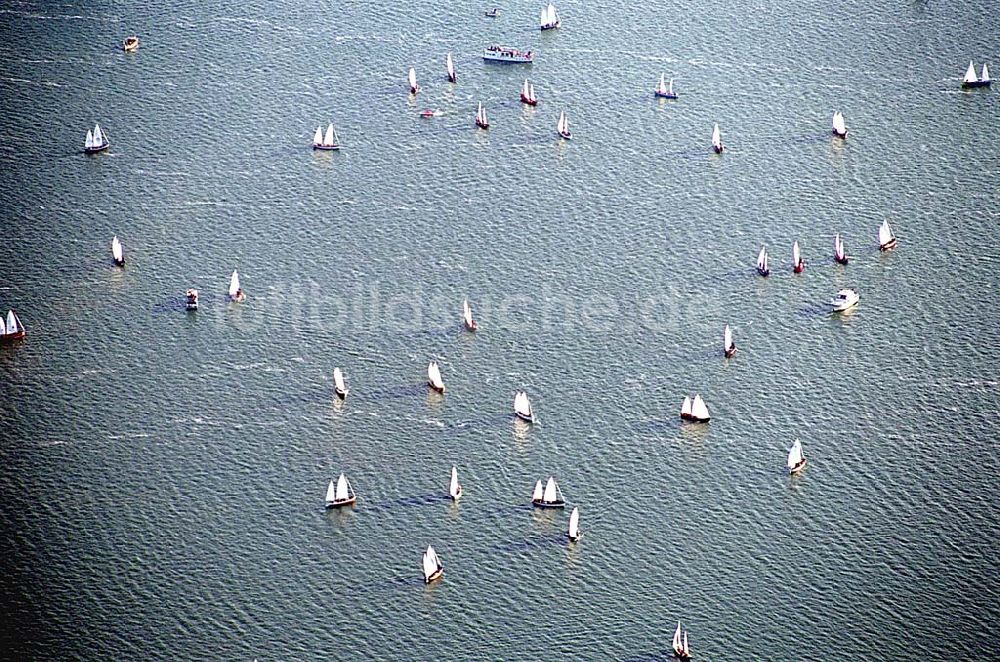 Schwerin / Mecklenburg Vorpommern aus der Vogelperspektive: Schwerin / Mecklenburg Vorpommern Blick auf eine Segel-Regatta auf dem Schweriner See in Schwerin / Mecklenburg Vorpommern 06