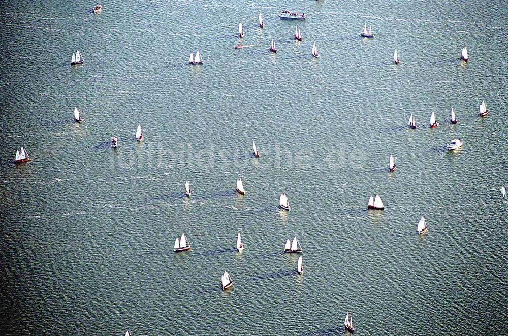 Luftbild Schwerin / Mecklenburg Vorpommern - Schwerin / Mecklenburg Vorpommern Blick auf eine Segel-Regatta auf dem Schweriner See in Schwerin / Mecklenburg Vorpommern 06