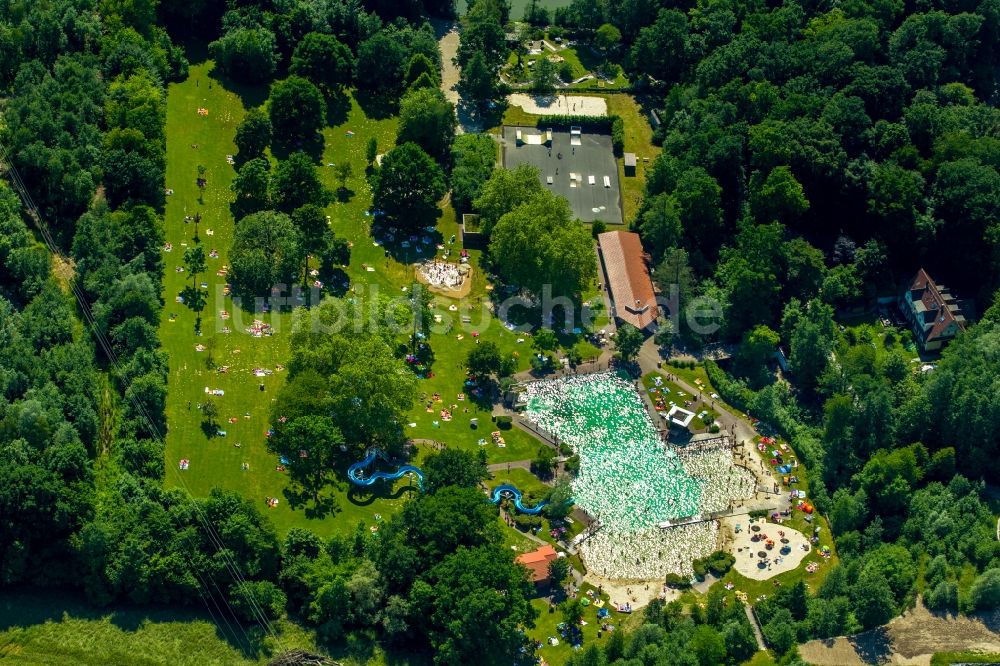 Mettmann aus der Vogelperspektive: Schwimmbecken des Freibades Naturfreibad in Mettmann im Bundesland Nordrhein-Westfalen