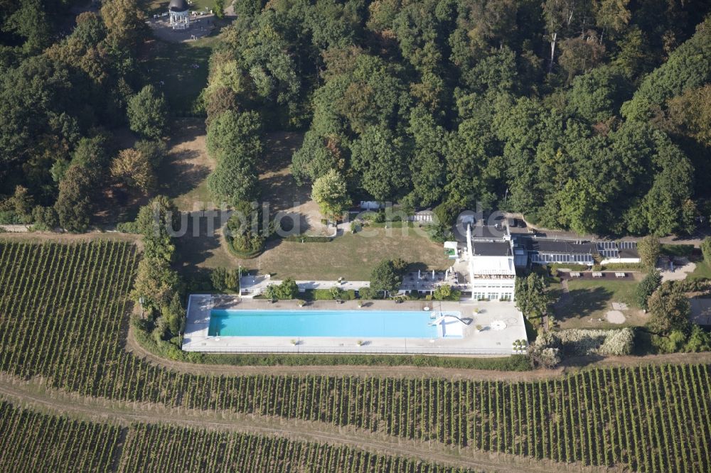 Wiesbaden von oben - Schwimmbecken des Freibades Opelbad in Wiesbaden im Bundesland Hessen