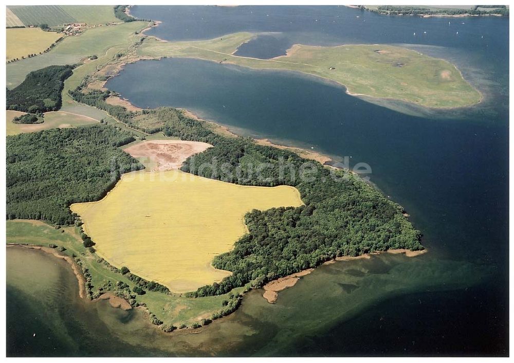 Rechlin aus der Vogelperspektive: Südufer der Müritz bei westlich von Rechlin.