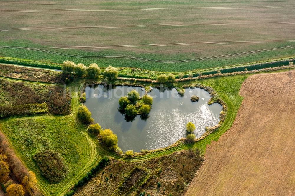 Luftbild Göhren-Lebbin - See in Göhren-Lebbin im Bundesland Mecklenburg-Vorpommern