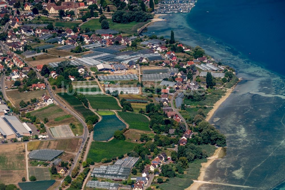 Reichenau von oben - See- Insel auf dem Bodensee in Reichenau im Bundesland Baden-Württemberg, Deutschland