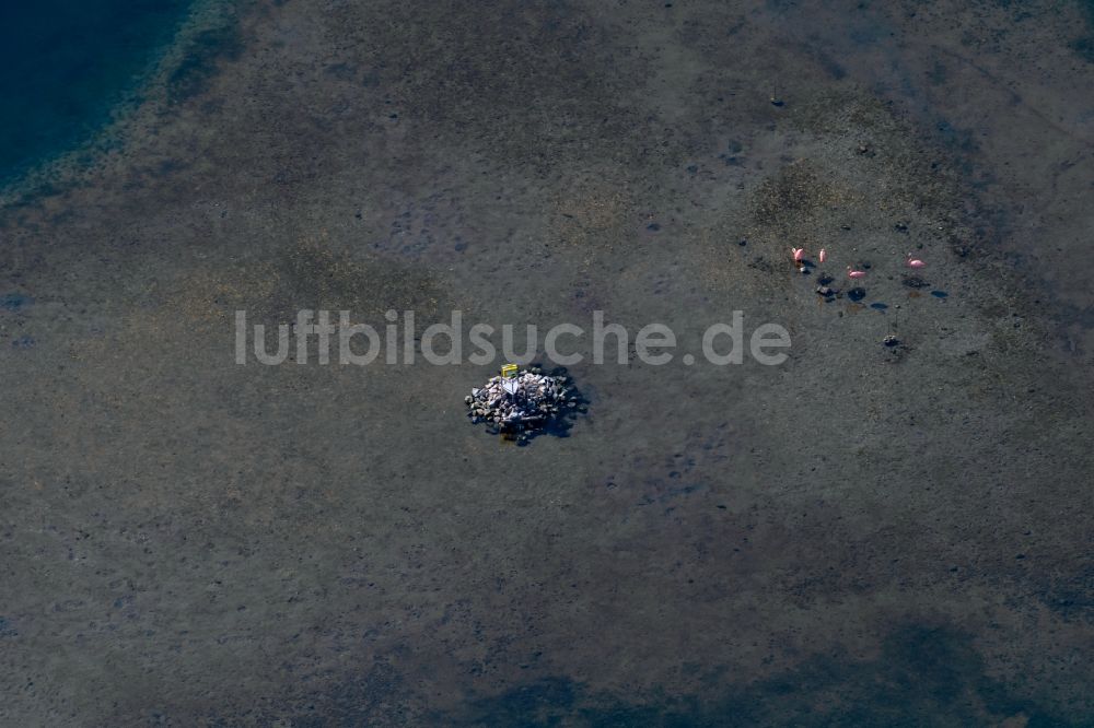 Leipzig aus der Vogelperspektive: See- Insel mit Briefkasten für Wassertouristen auf dem Cospudener See in Leipzig im Bundesland Sachsen, Deutschland