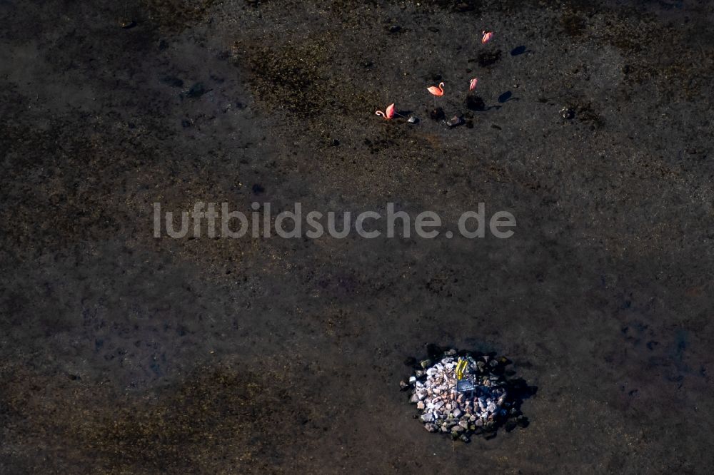 Luftbild Leipzig - See- Insel mit Briefkasten für Wassertouristen auf dem Cospudener See in Leipzig im Bundesland Sachsen, Deutschland