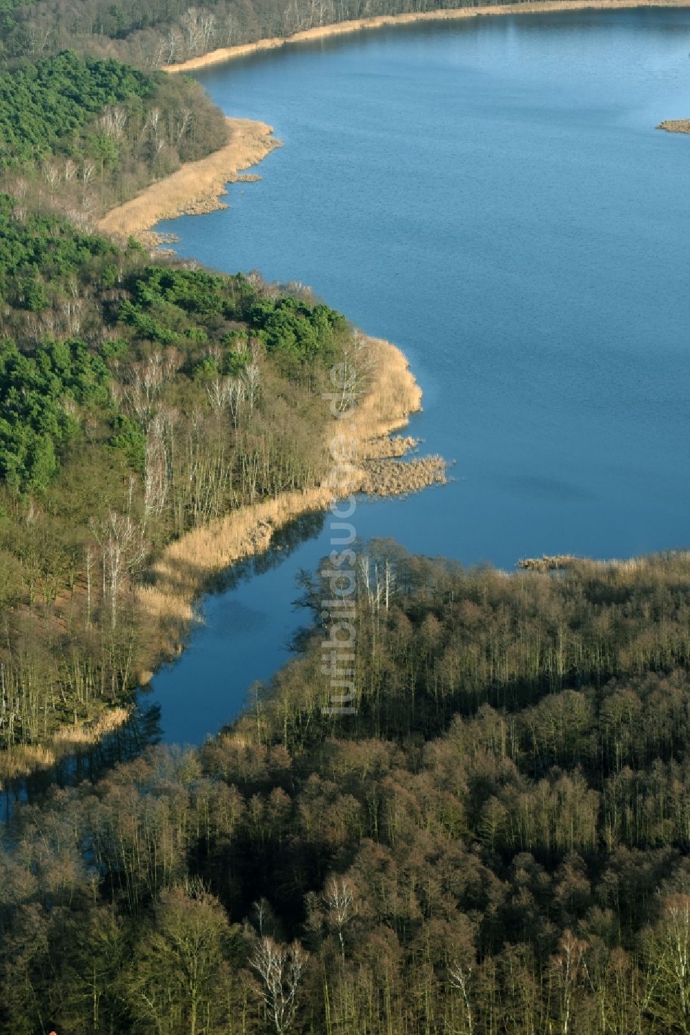 Luftaufnahme Berkenbrück - See- Insel auf dem Dehmsee in Berkenbrück im Bundesland Brandenburg