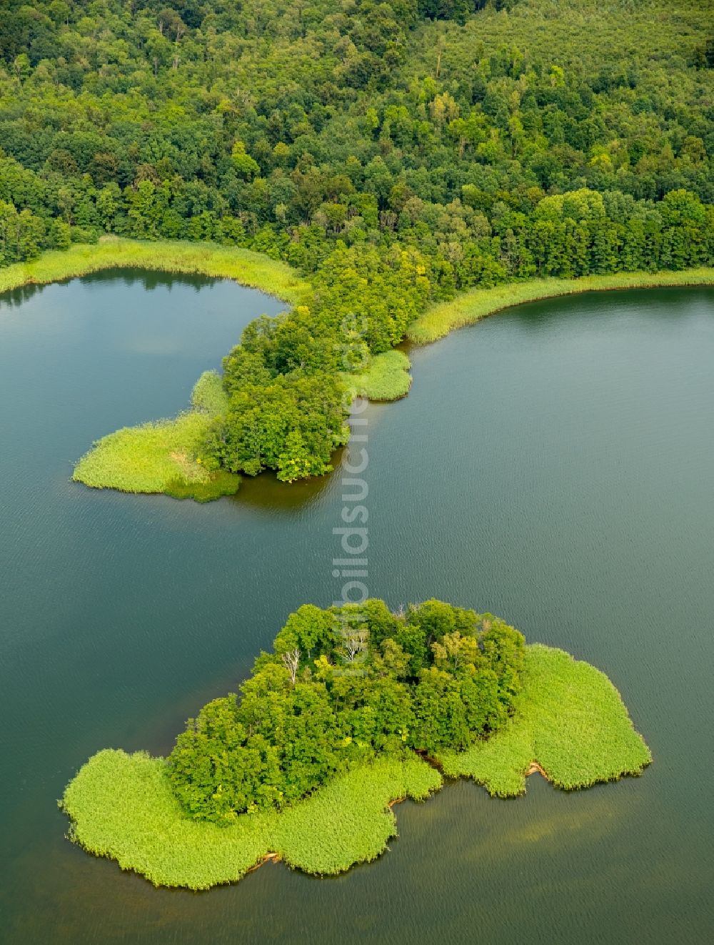 Luftaufnahme Kuchelmiß - See- Insel auf dem Krakower See in Kuchelmiß im Bundesland Mecklenburg-Vorpommern