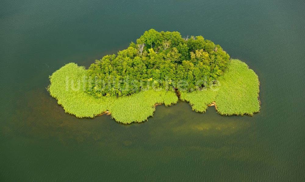 Kuchelmiß von oben - See- Insel auf dem Krakower See in Kuchelmiß im Bundesland Mecklenburg-Vorpommern