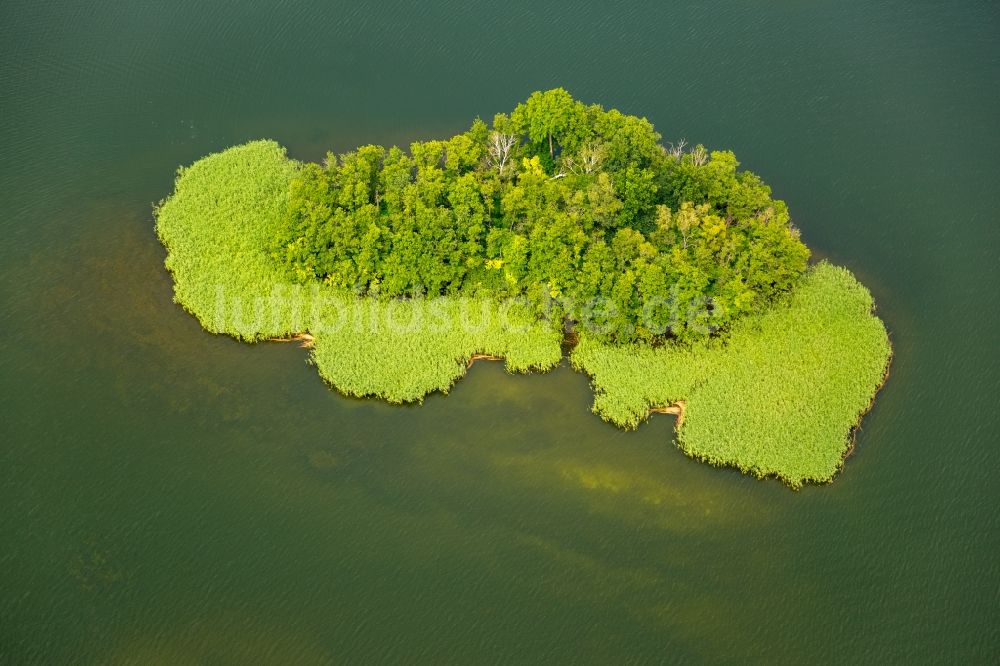 Kuchelmiß aus der Vogelperspektive: See- Insel auf dem Krakower See in Kuchelmiß im Bundesland Mecklenburg-Vorpommern