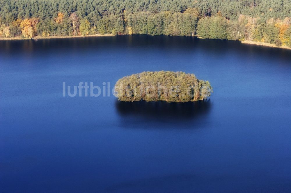 Fürstenberg/Havel aus der Vogelperspektive: See- Insel auf dem Moderfitzsee in Fürstenberg/Havel im Bundesland Brandenburg