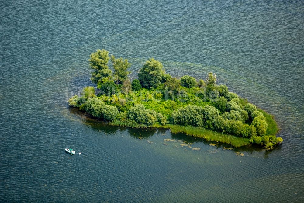 Plau am See von oben - See- Insel auf dem Plauer See in Plau am See im Bundesland Mecklenburg-Vorpommern