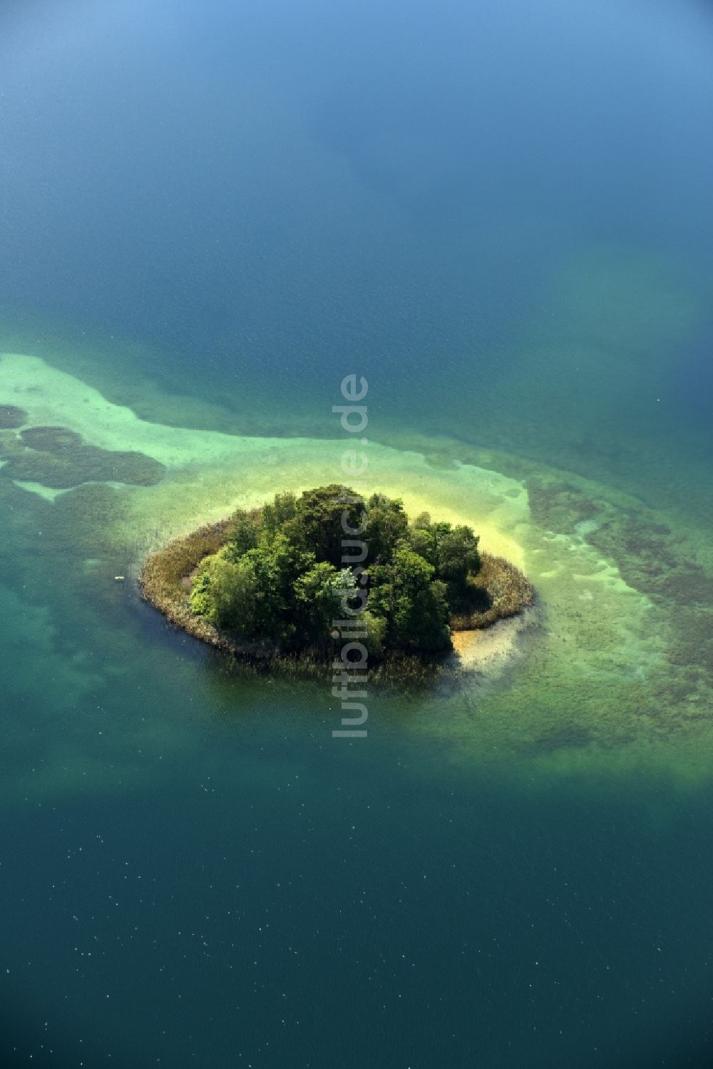 Luftbild Heimland - See- Insel auf dem See Großer Wummsee in Heimland im Bundesland Brandenburg