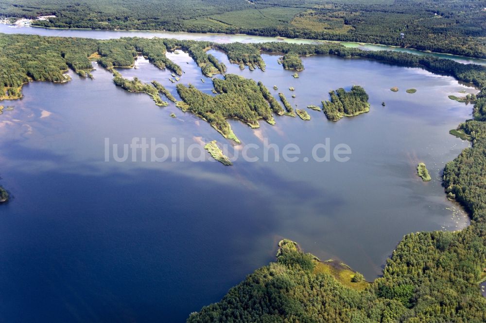 Luftaufnahme Senftenberg - See- Insel auf dem Senftenberger See in Senftenberg im Bundesland Brandenburg