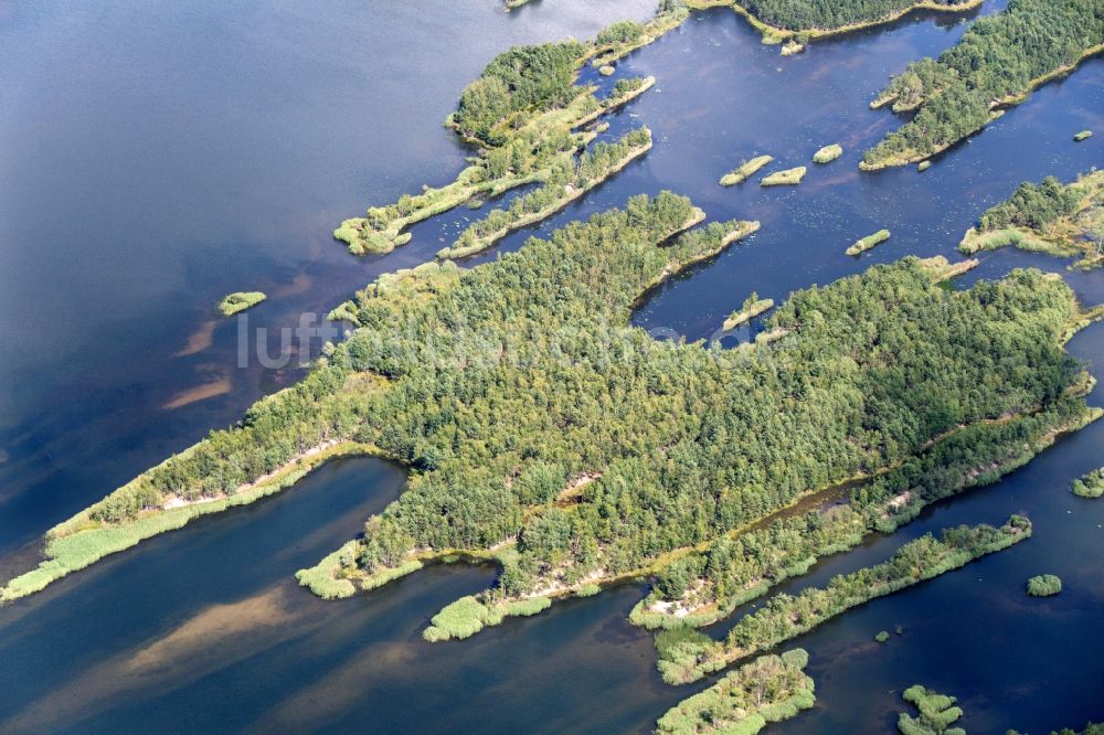 Senftenberg aus der Vogelperspektive: See- Insel auf dem Senftenberger See in Senftenberg im Bundesland Brandenburg