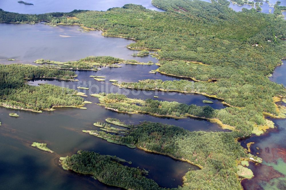 Luftaufnahme Senftenberg - See- Insel auf dem Senftenberger See in Senftenberg im Bundesland Brandenburg